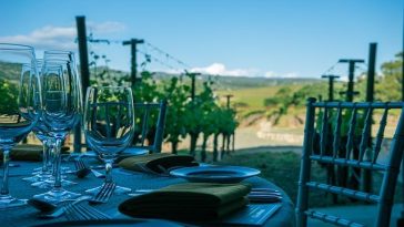 The Top Restaurants for Food and Wine Lovers in Napa Valley
