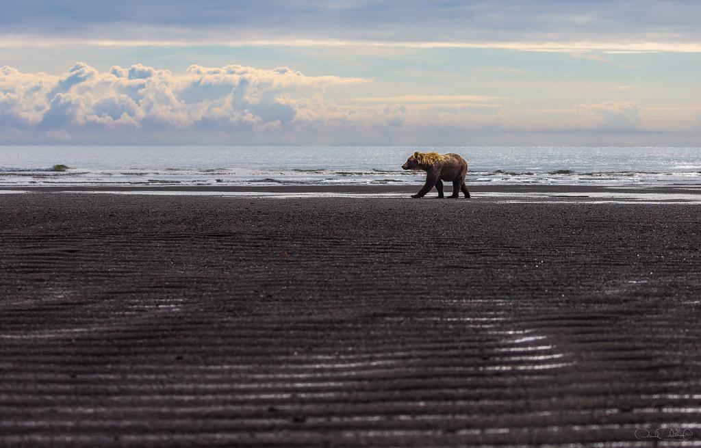 Nutritional Essentials for Growing Minds