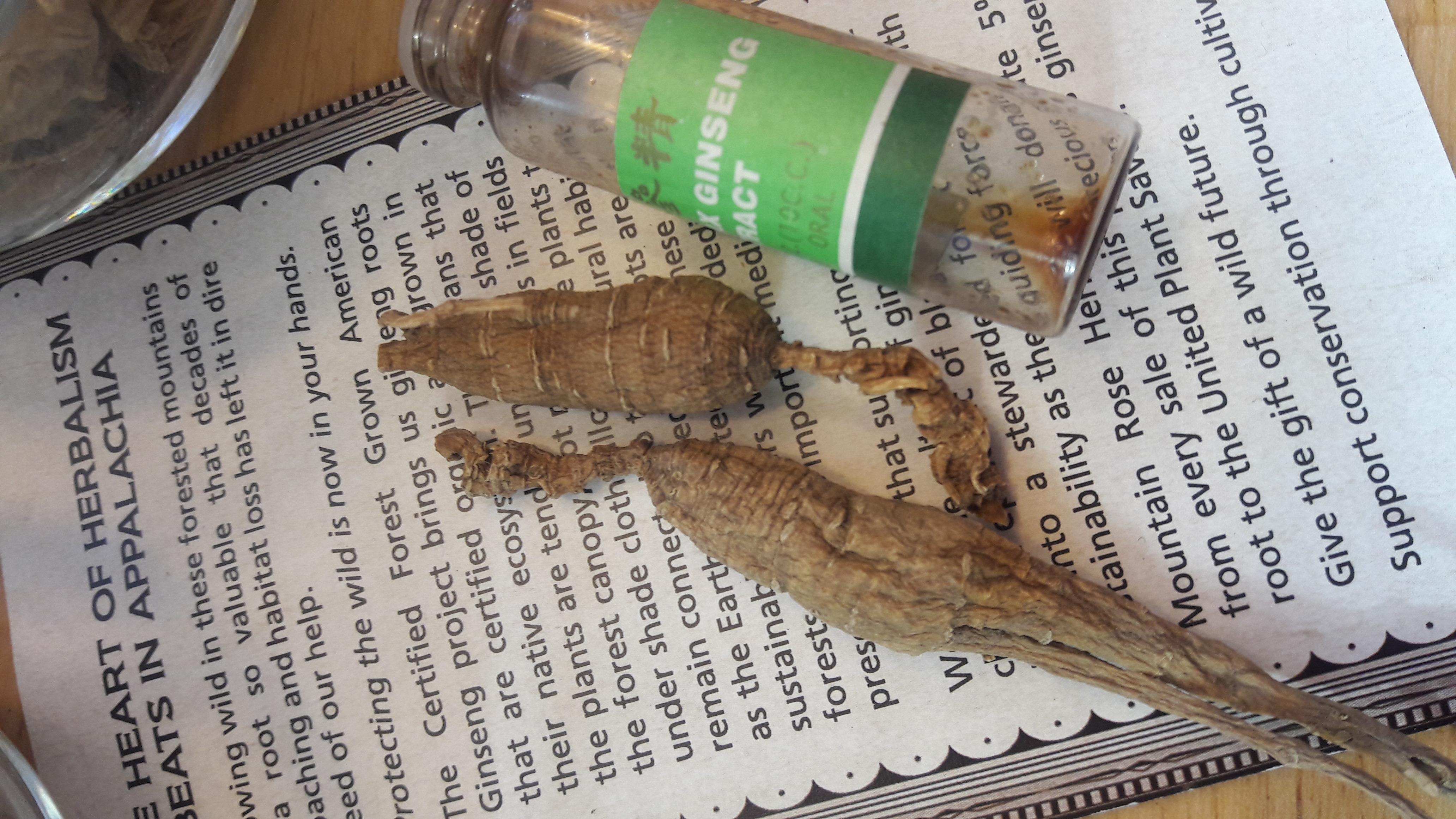 Harnessing⁢ the Power of⁣ Adaptogens for ‌Balanced Energy