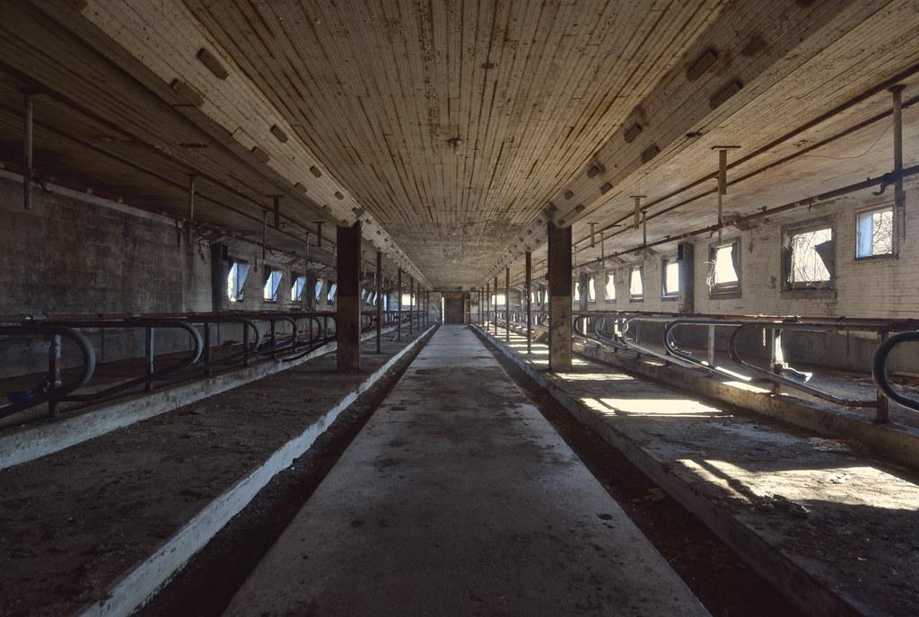 Making⁢ the Choice Personal Health Goals and Ethical Considerations