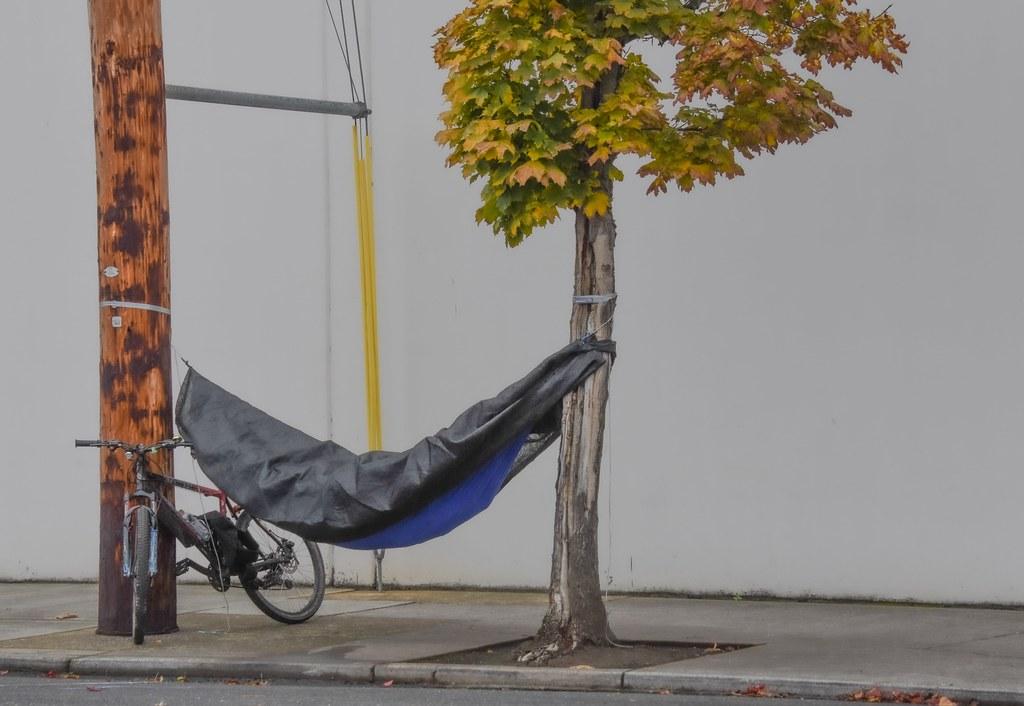 Understanding the Carbon Footprint of Plant Agriculture