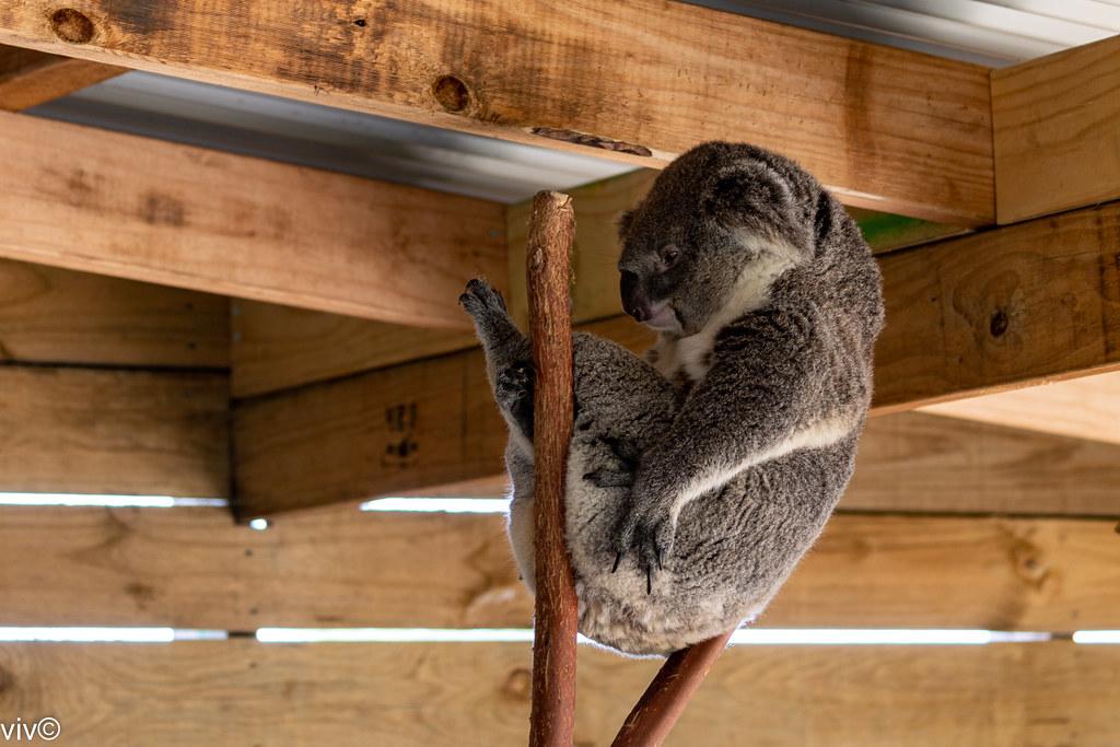 Nutritional Choices for Better <a href=