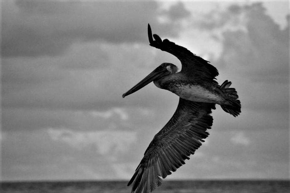 Understanding ‌the Risks Exploring Long-Term Health Implications