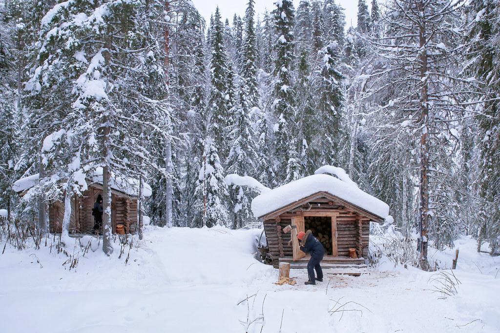 Exploring Unique Sausages Beyond the Traditional⁤ Frankfurter