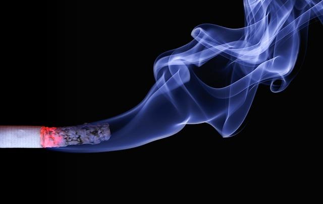 Temperature Control: Achieving the Ideal Smoke and Tenderness