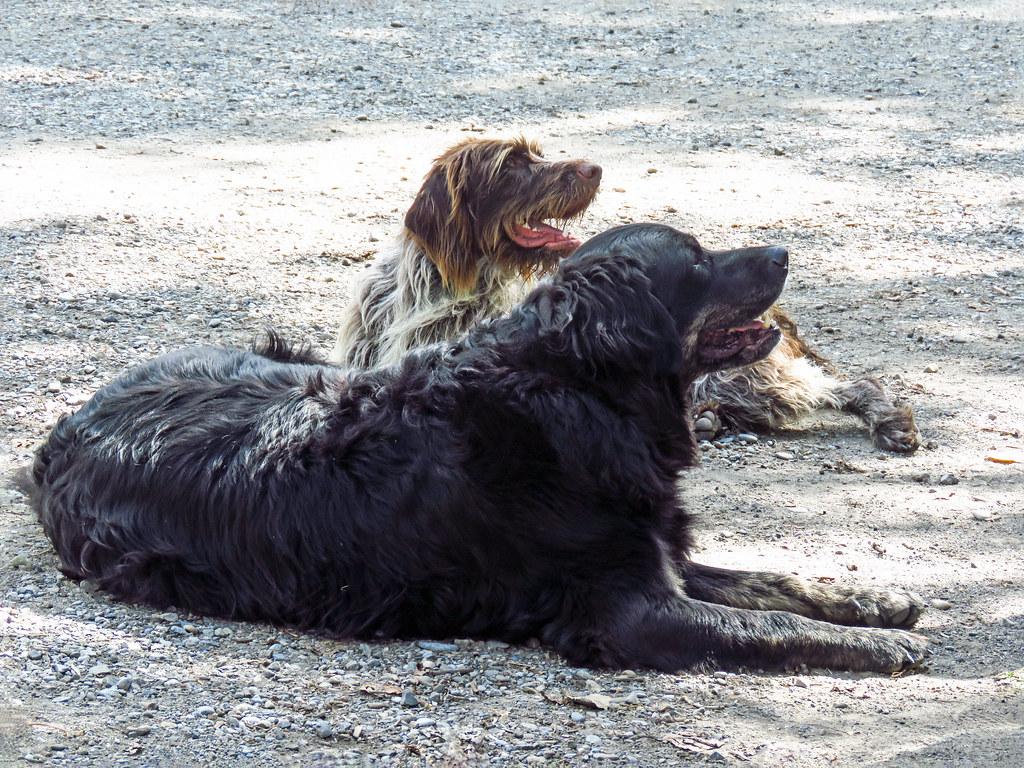 Practical Tips for Transitioning to a Heart-Healthy Plant-Based Lifestyle